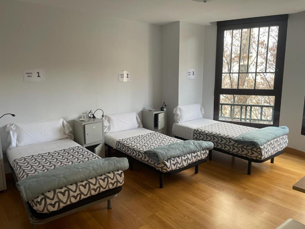 Single Bed in Female Dormitory Room